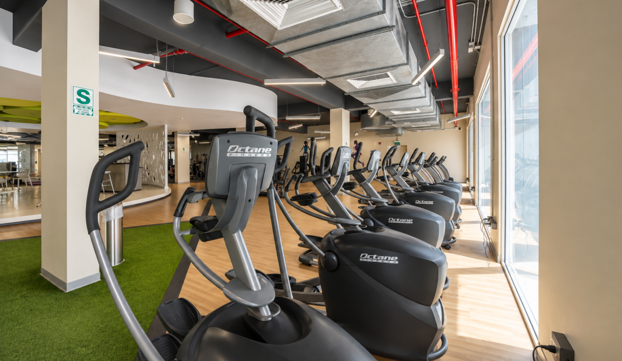 Gimnasio de Magna Haus
